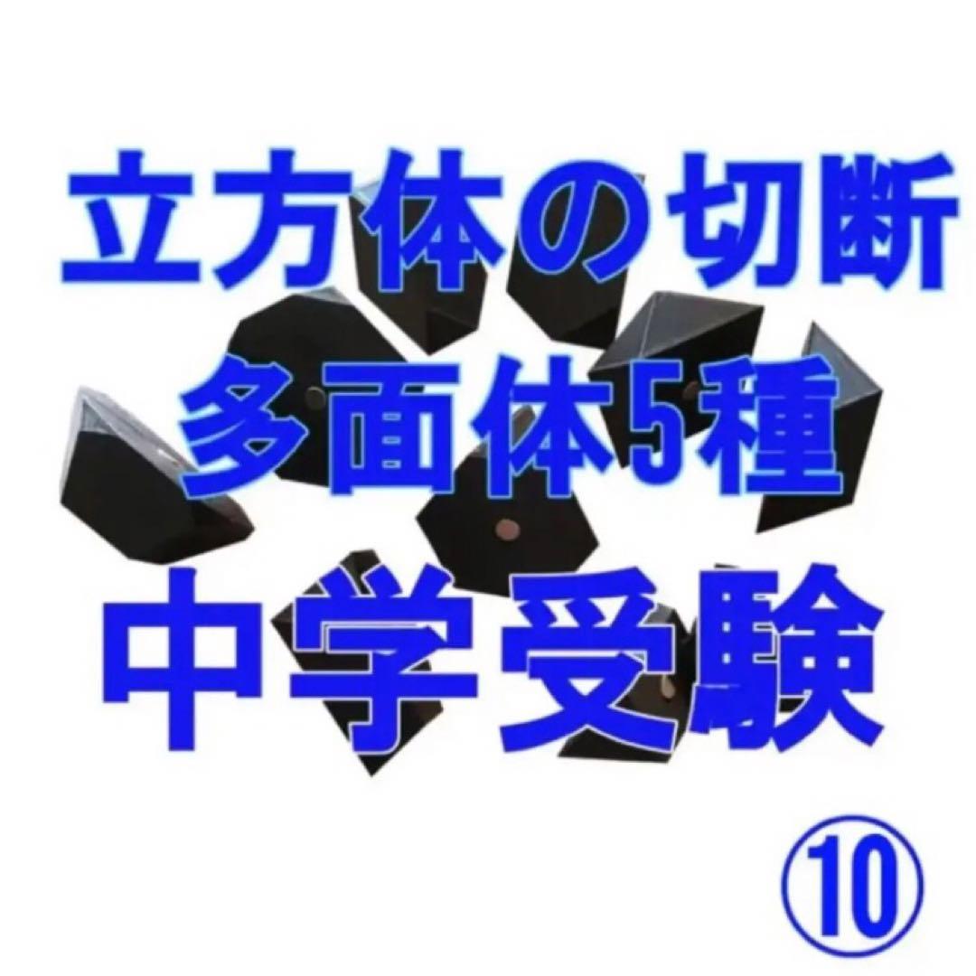 しじみ　立体の切断模型 ①②③④⑤⑥⑦⑧⑨⑩セット