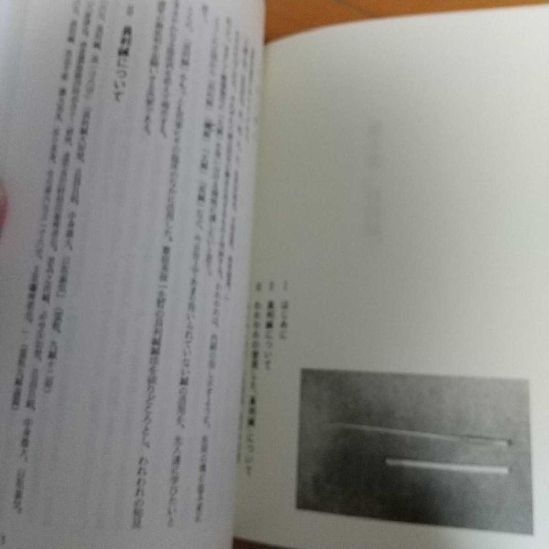 伝統医学の諸問題　藤本蓮風　藤原知　打鍼　無分流　　鍼灸　東洋医学 針灸　気功