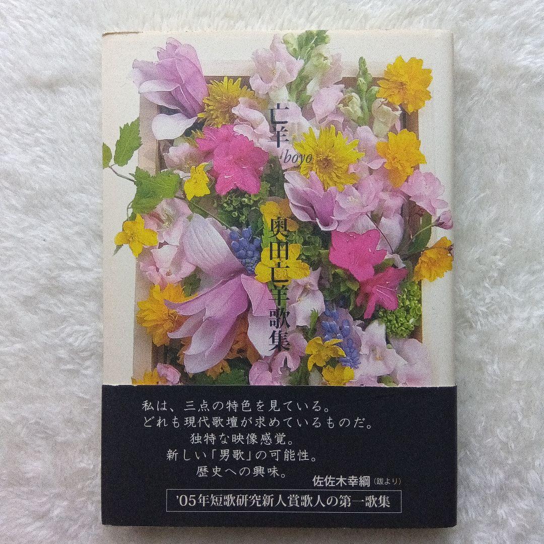 亡羊　奥田亡羊歌集　短歌研究社