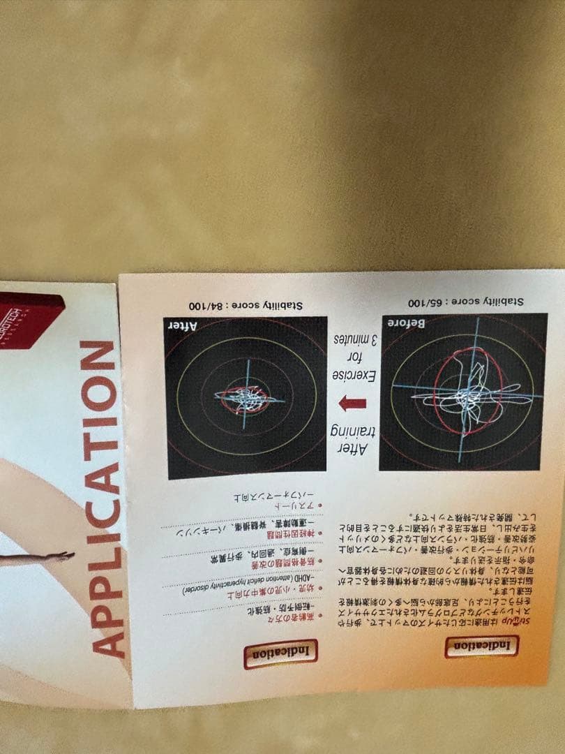 StimUp FOOT to BRAIN バランスクッション