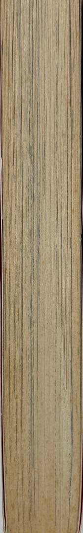 [初版帯付] ファイティングバイパーズ 2巻 ハガキ付 沖持冬 石田走