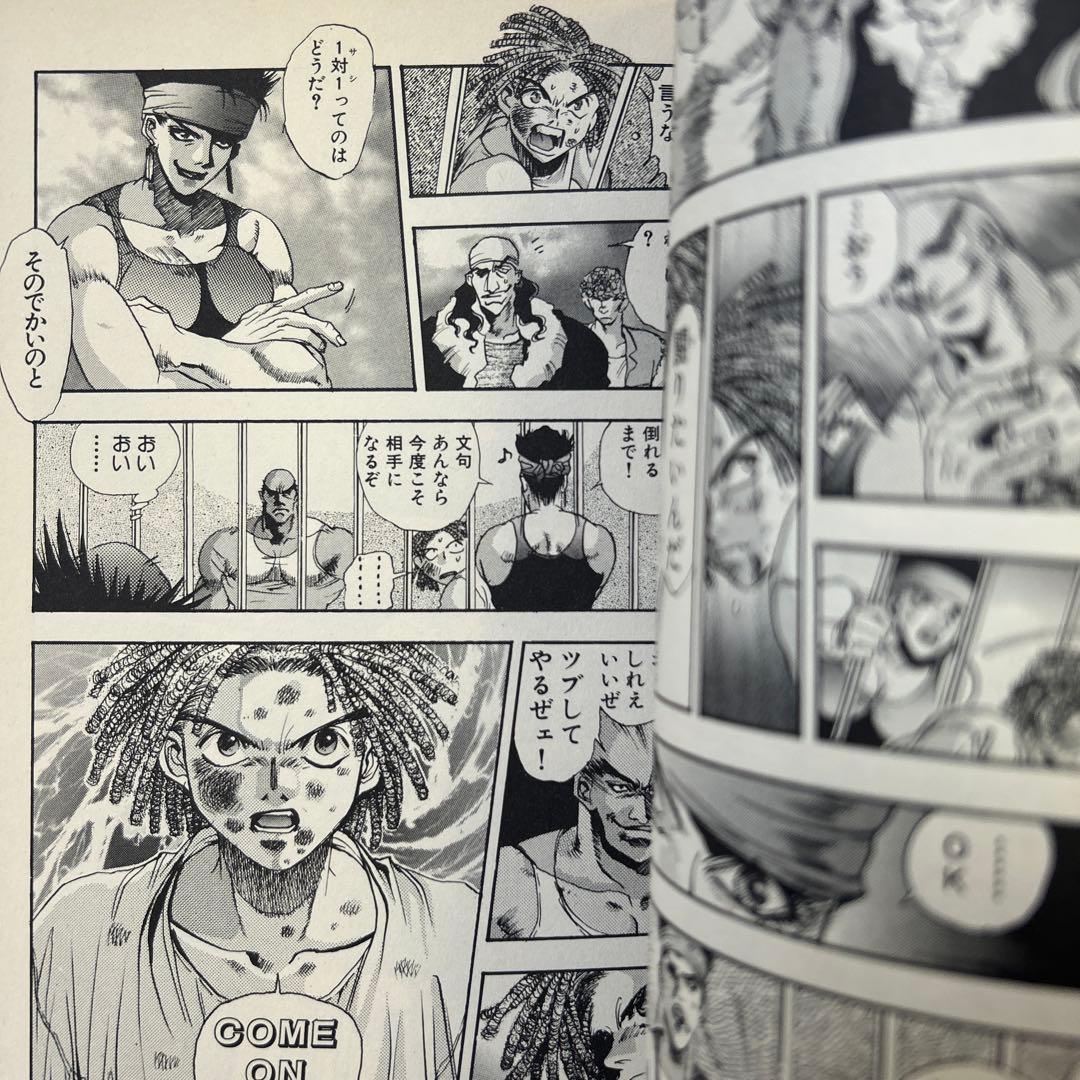 [初版帯付] ファイティングバイパーズ 2巻 ハガキ付 沖持冬 石田走