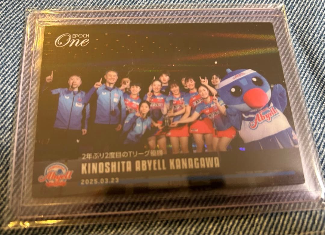 エポックワン【木下アビエル神奈川】2年ぶり2度目のTリーグ優勝（25.3.23）