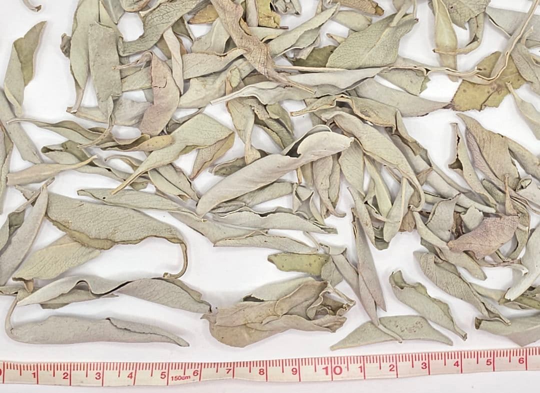 セール☆無農薬ホワイトセージ枝無しリーフ1kg箱入りお香浄化業務用価額お得