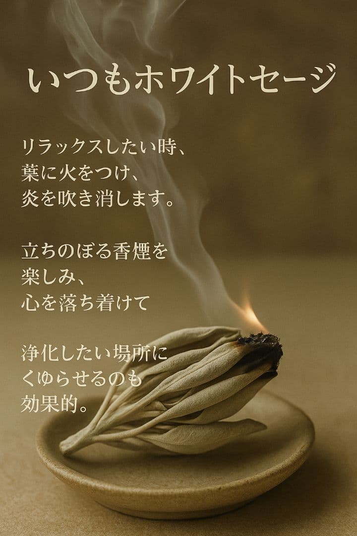 セール☆無農薬ホワイトセージ枝無しリーフ1kg箱入りお香浄化業務用価額お得
