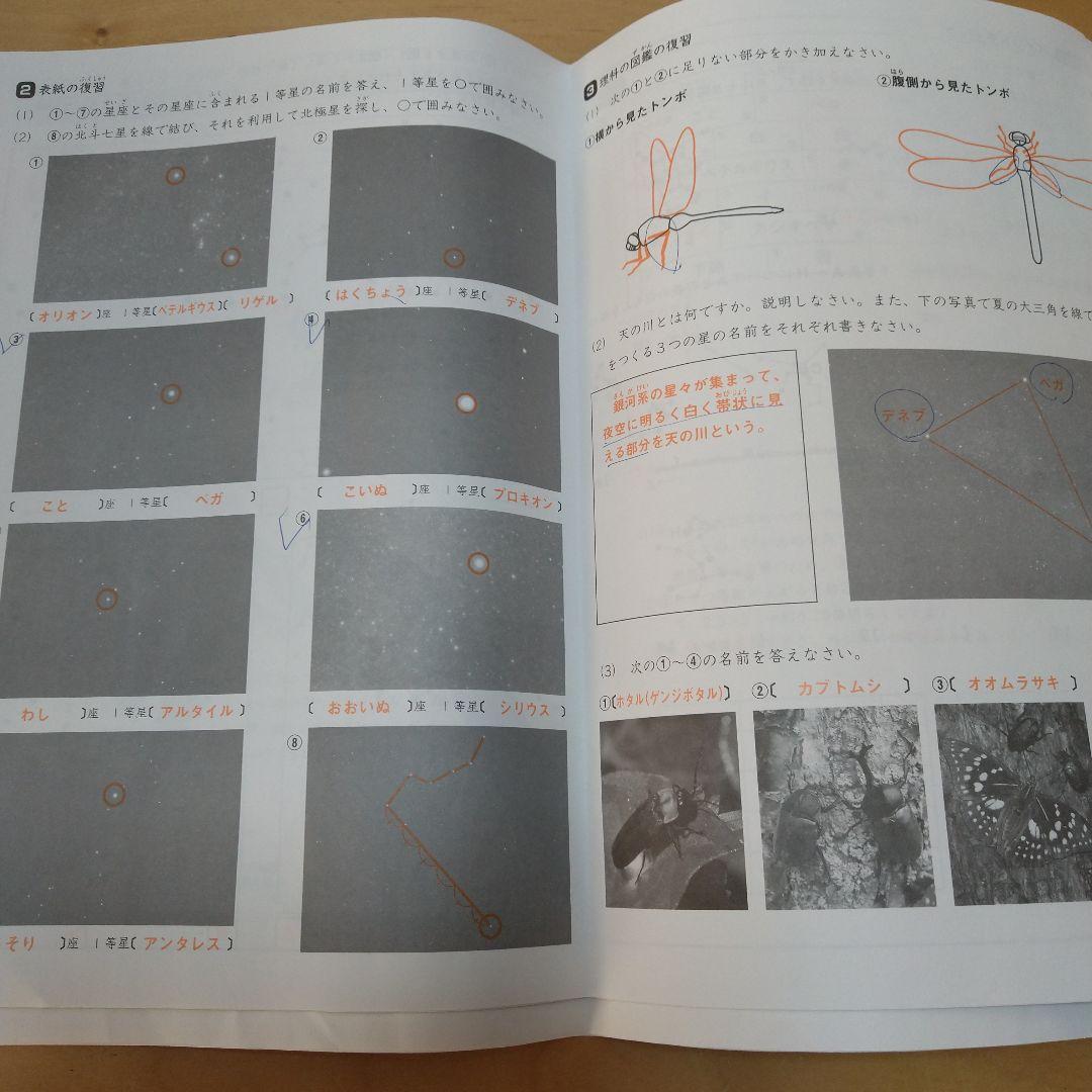 2024年度サピックス5年理科一式　欠番なし