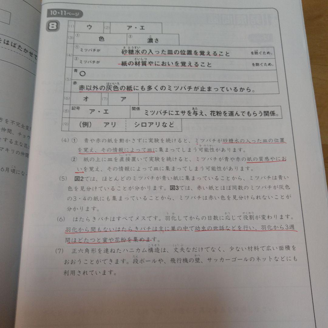2024年度サピックス5年理科一式　欠番なし