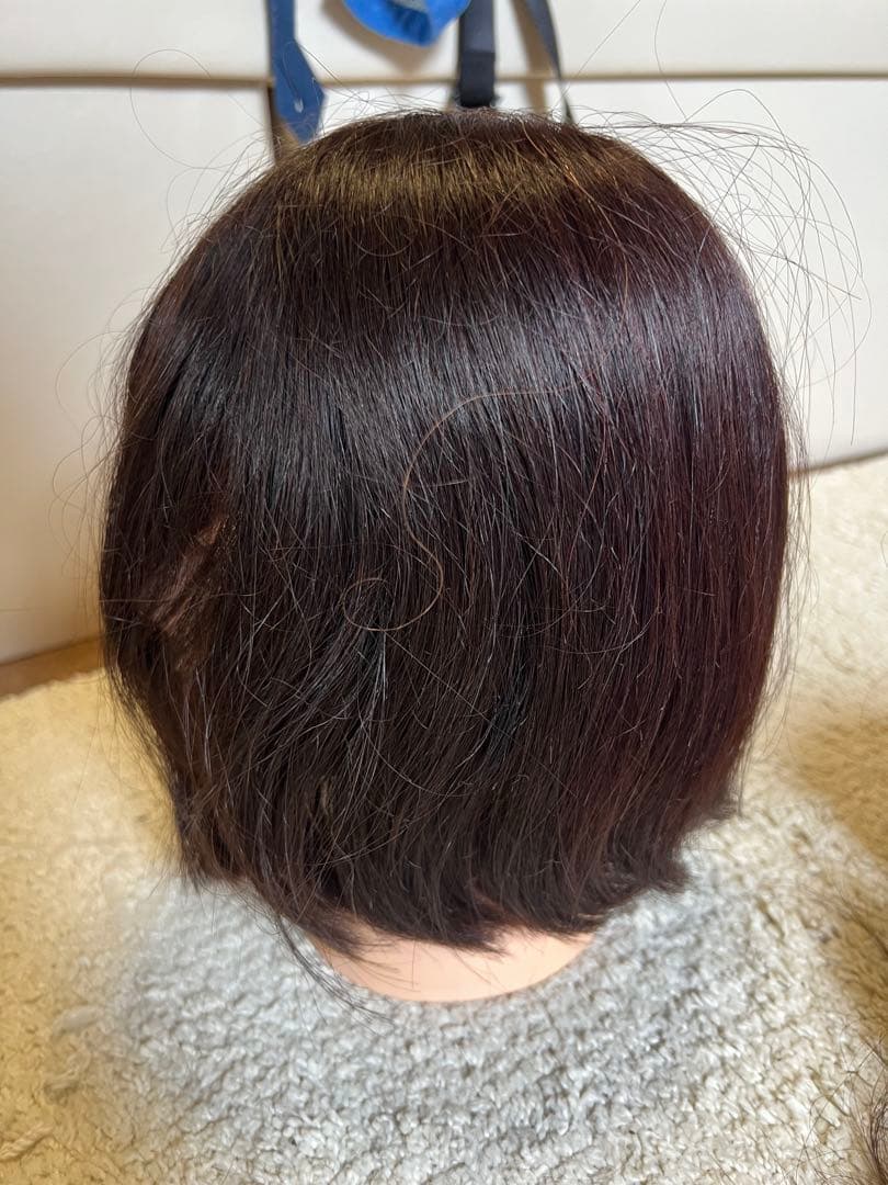 練習用カットウィッグ6点　美容師国家試験