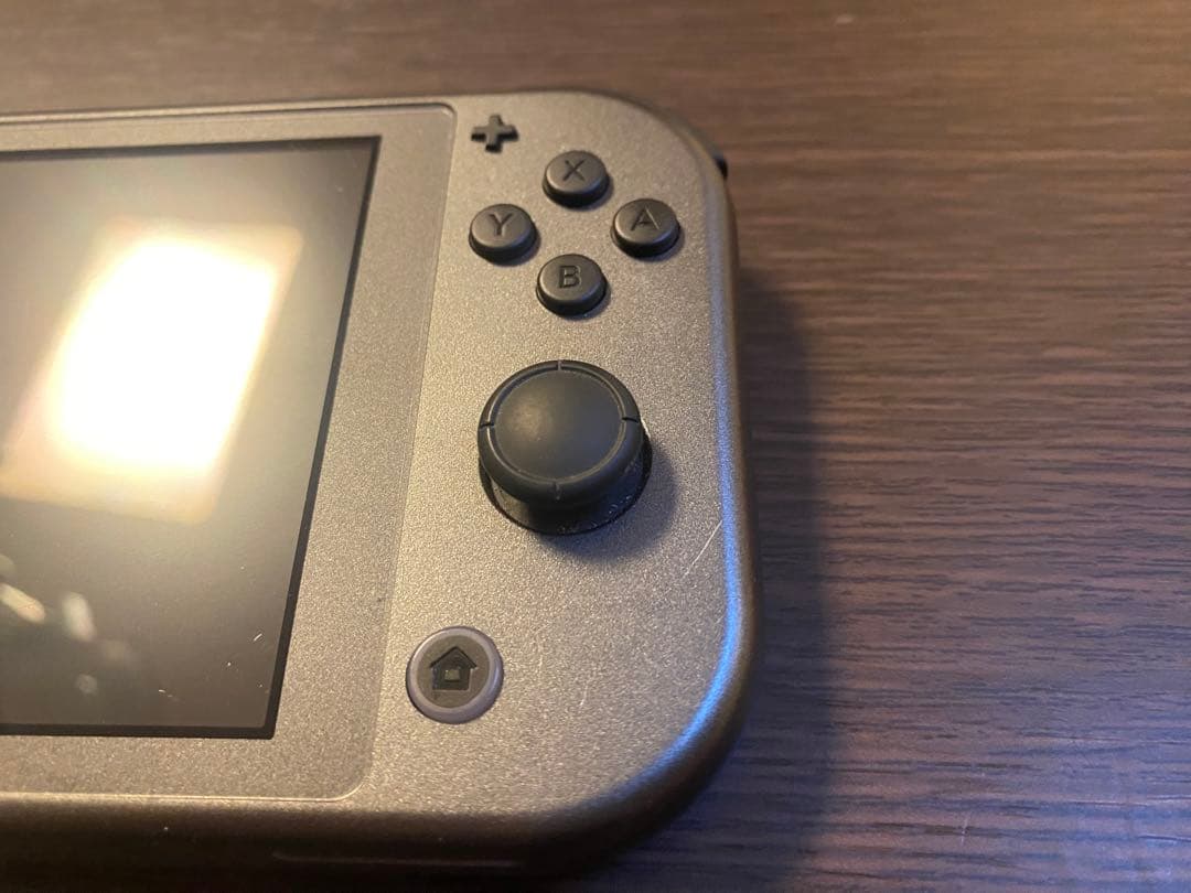 Nintendo Switch Lite ディアルガ・パルキア + ソフト