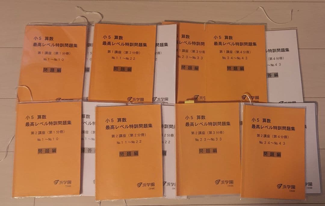 お値段交渉可 学園 小5 最高レベル特訓