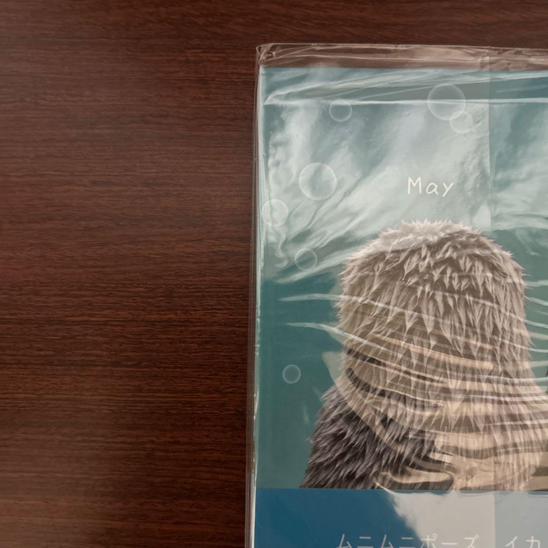 ラッコのメイとキラ　写真集　ラッコメモリアルブック