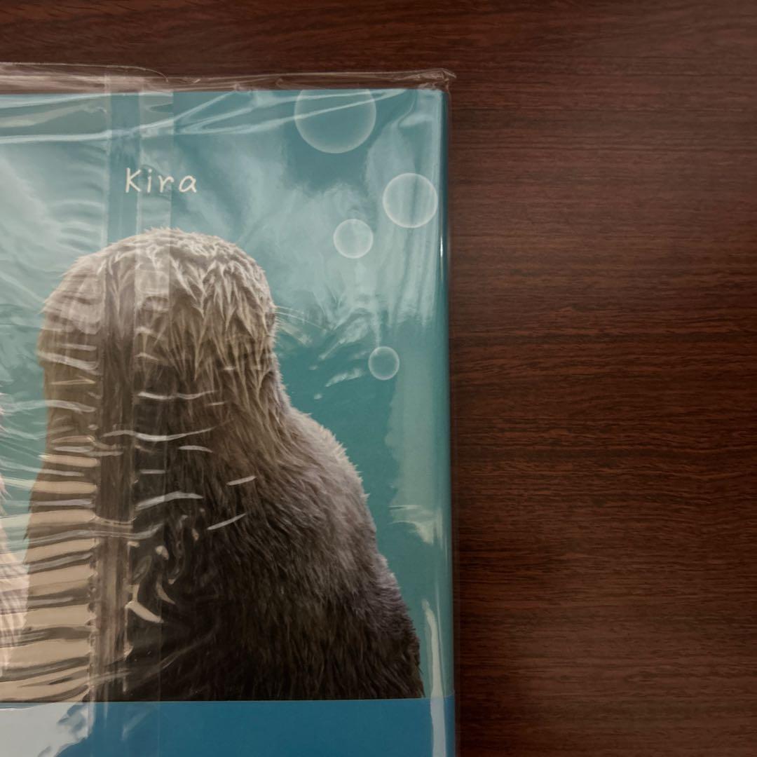 ラッコのメイとキラ　写真集　ラッコメモリアルブック