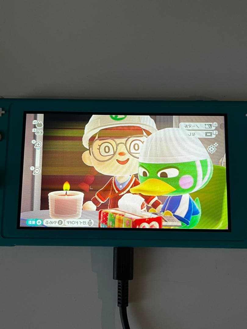 Switchライト ターコイズ 動作確認済み