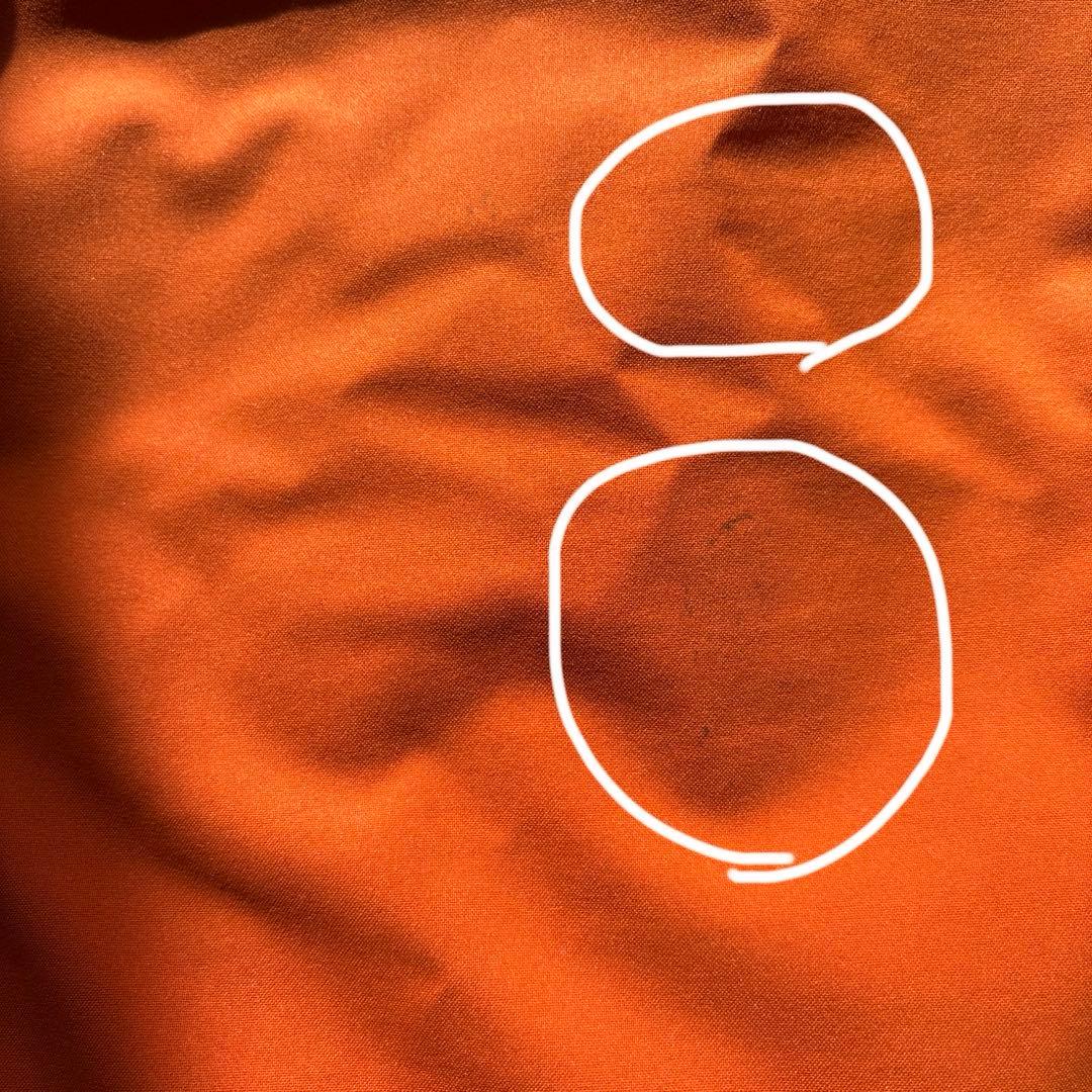 Goldwin オレンジ スキーウェア Lサイズ