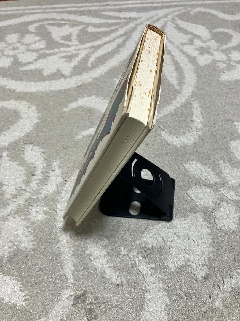 タントラ 狂気の智慧