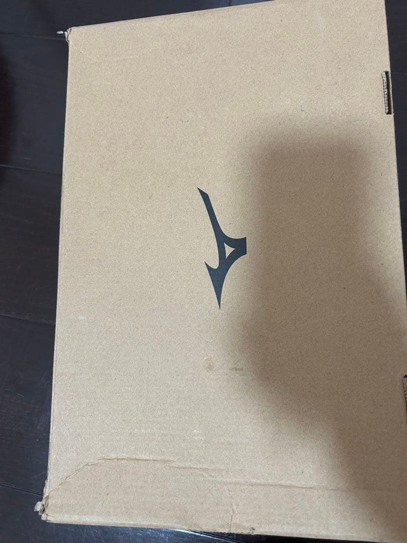 ミズノプロライトレブプロ GS 27.0cm ホワイト