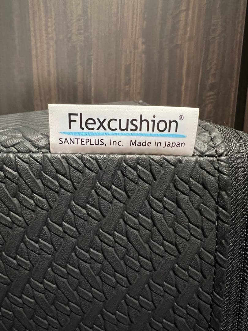サンテプラス　フレックスクッション　股割りクッション