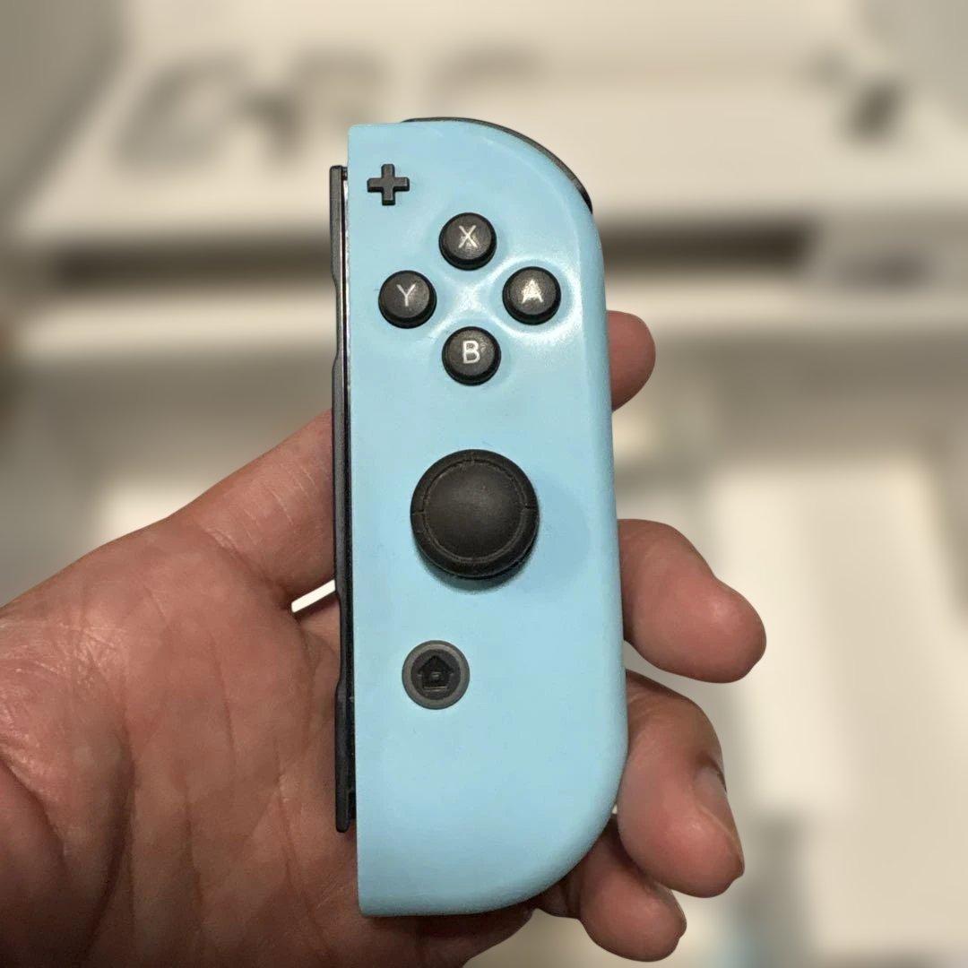 【超美品】Switch あつまれどうぶつの森セット