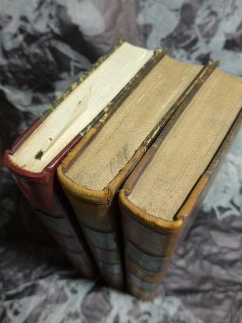 高価なEconomie politique chrétienne1834/初版