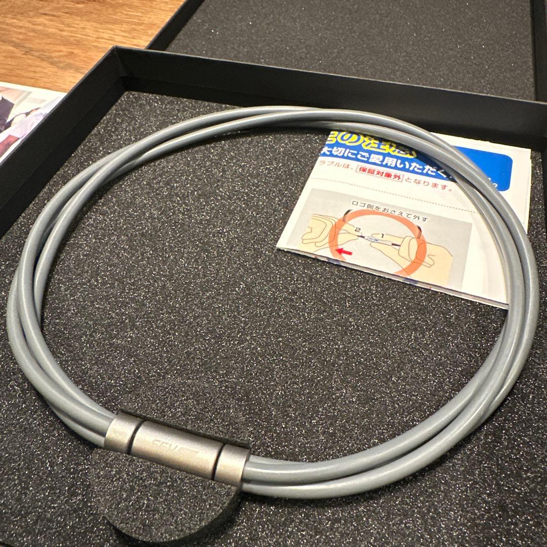 SEV LOOPER ルーパー　type3ti size46 グレー