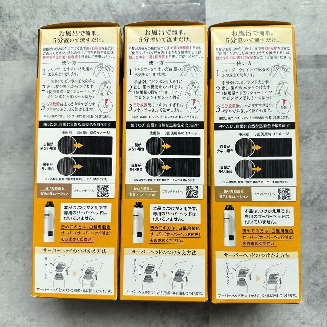 【新品】リライズ 白髪用 髪色サーバー リ・ブラック つけかえ 3個セット