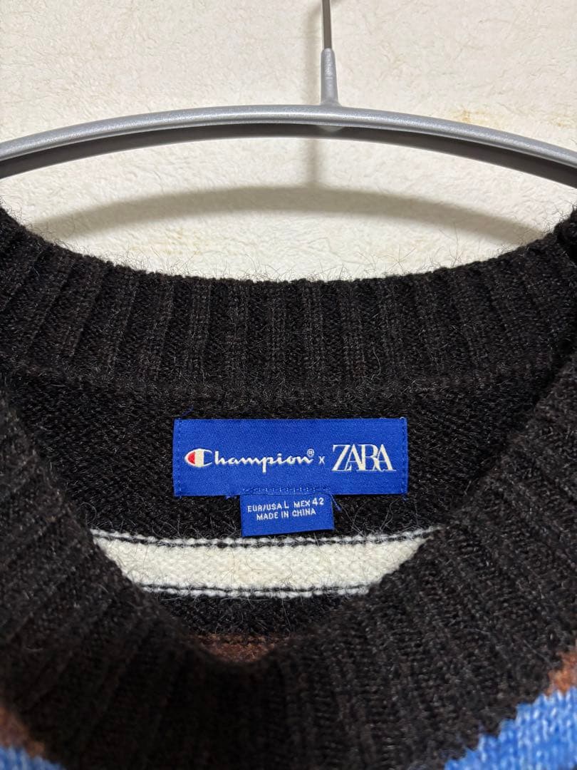 ZARA × championコラボ ボーダー柄ニット Lサイズ