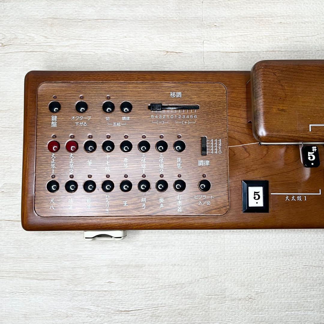 稼働品 SUZUKI 大正琴TES-100 専用ハードケース付