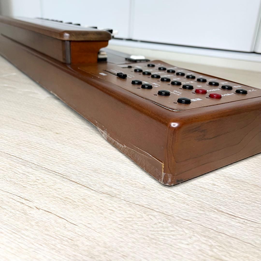 稼働品 SUZUKI 大正琴TES-100 専用ハードケース付