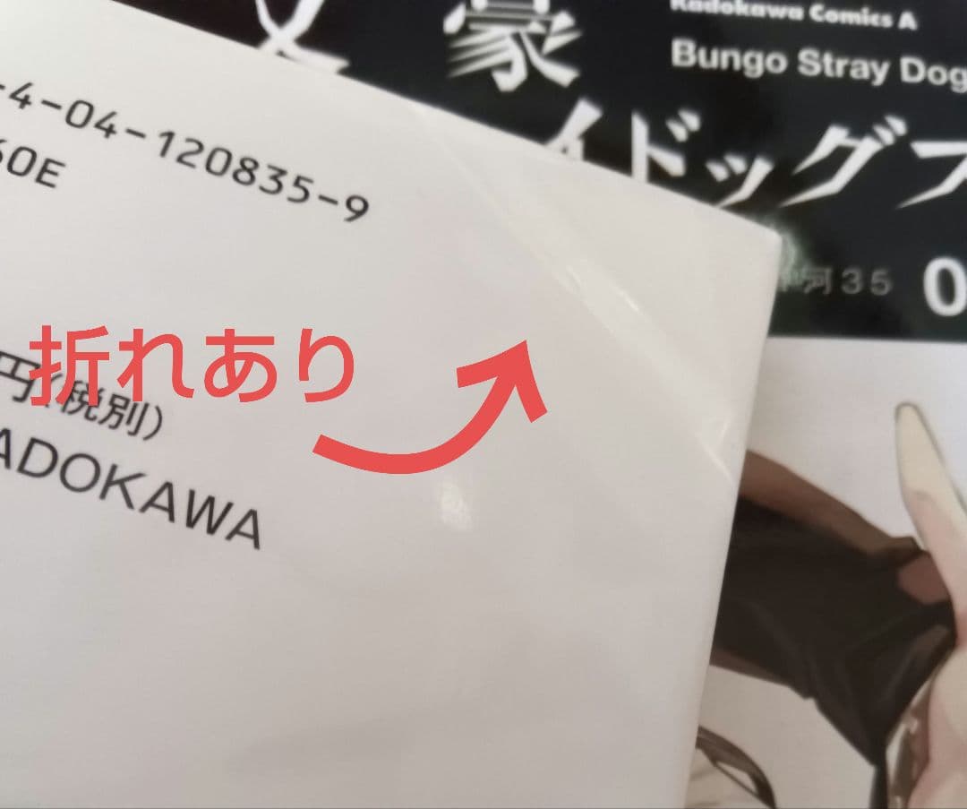 文豪ストレイドッグス 1～27巻 全巻セット 関連本11冊 イラストカード付き