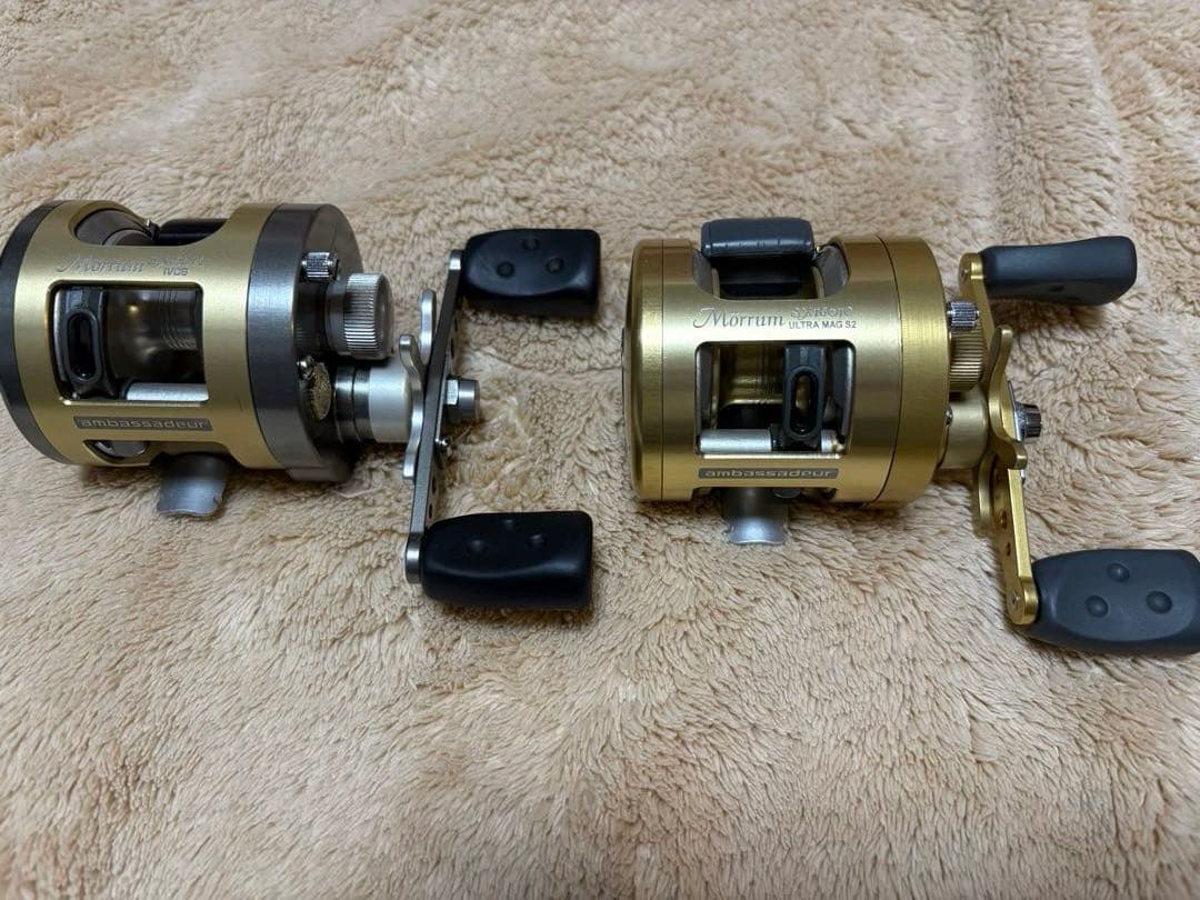 アンバサダー　モラム1601