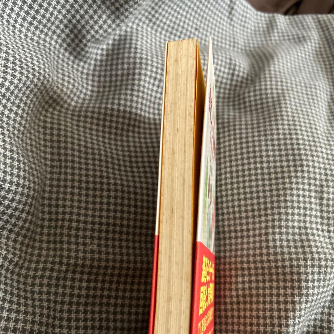 評*。様 元祖 野菜スープ強健法 立石和著