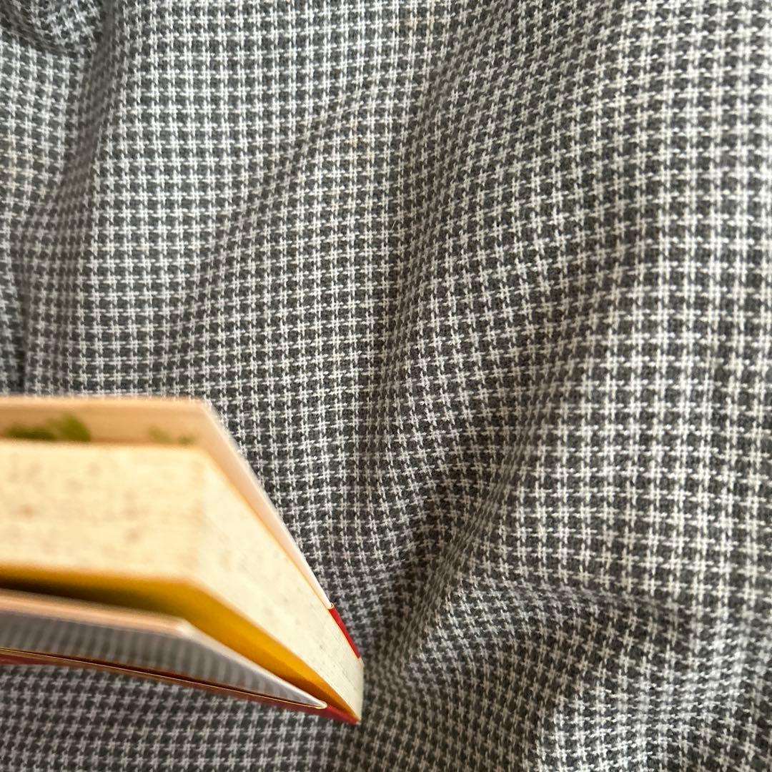 評*。様 元祖 野菜スープ強健法 立石和著