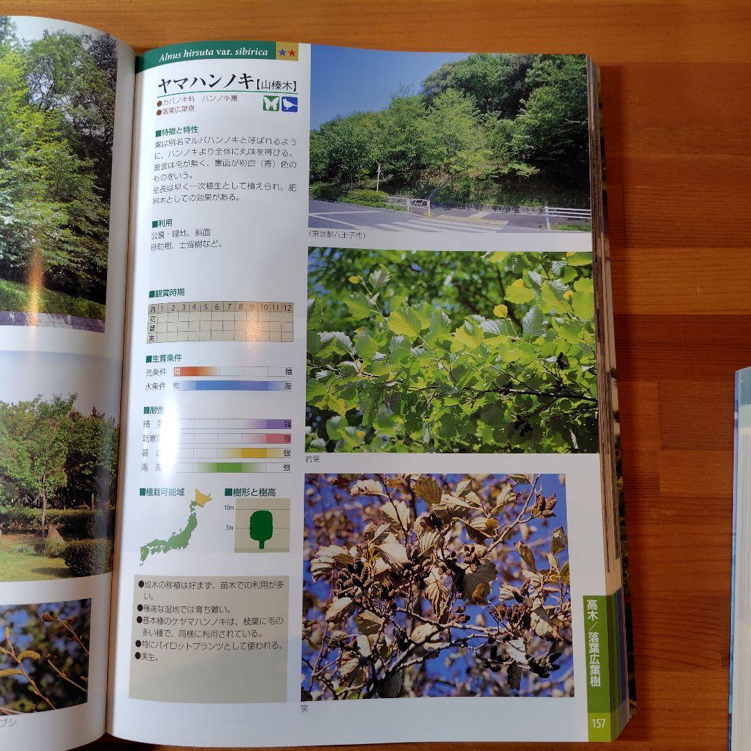 緑化樹木ガイドブック : 「建設物価」完全対応