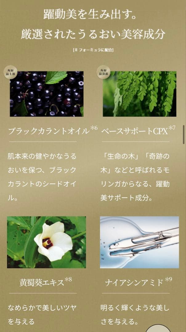 【最終価格・残り2点】新品ナリスSELGRACE I+II セット*2最高峰エイ