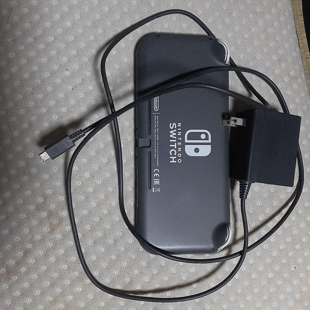 Nintendo Switch 本体 グレー + ダビスタSwitch(おまけ)