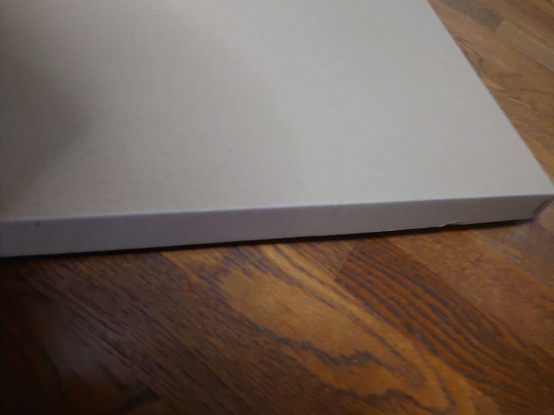 高橋留美子先生デジタルサイン入り『らんま1/2』複製原画A