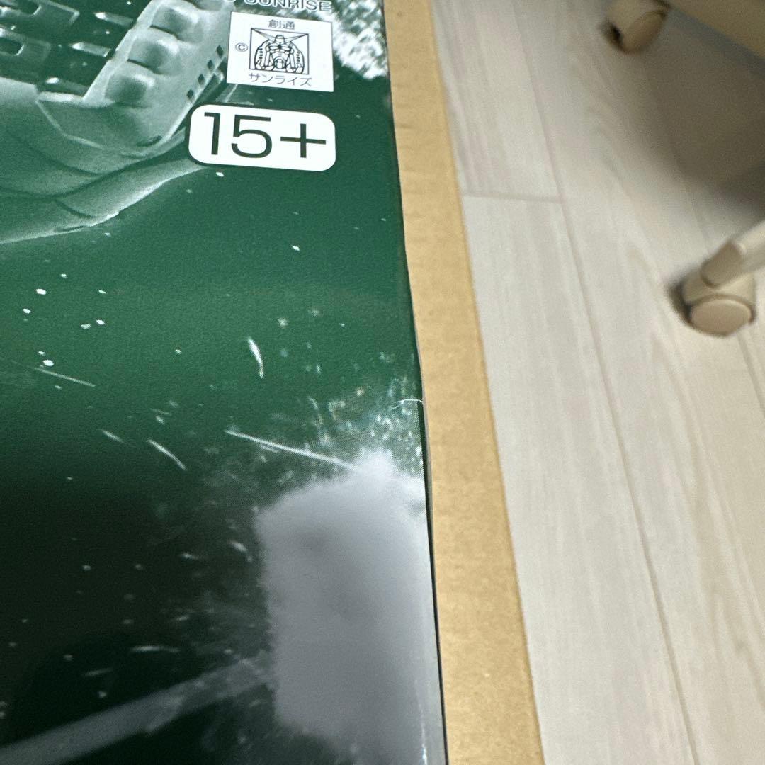 MG 1/100 ブレニフ・オグス専用　ザクII