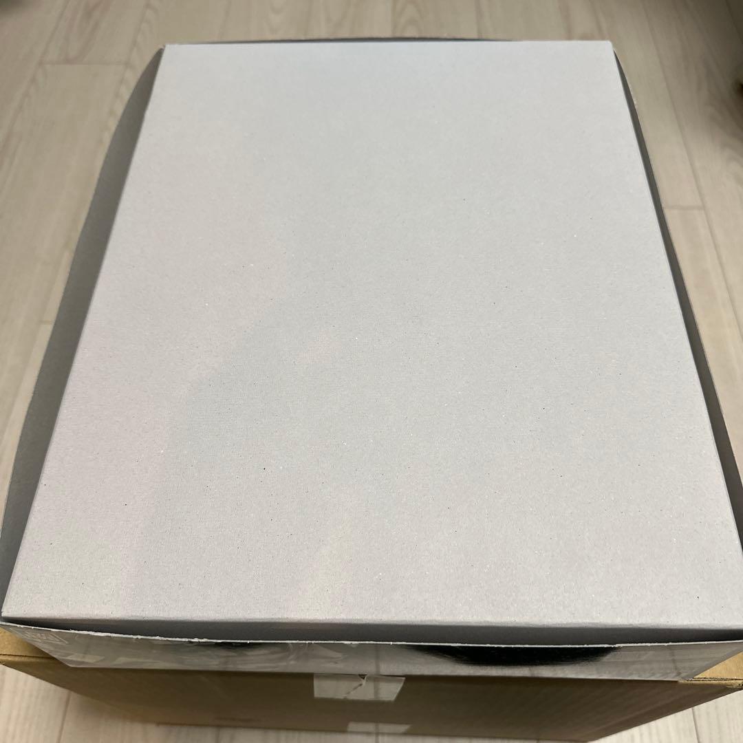 MG 1/100 ブレニフ・オグス専用　ザクII