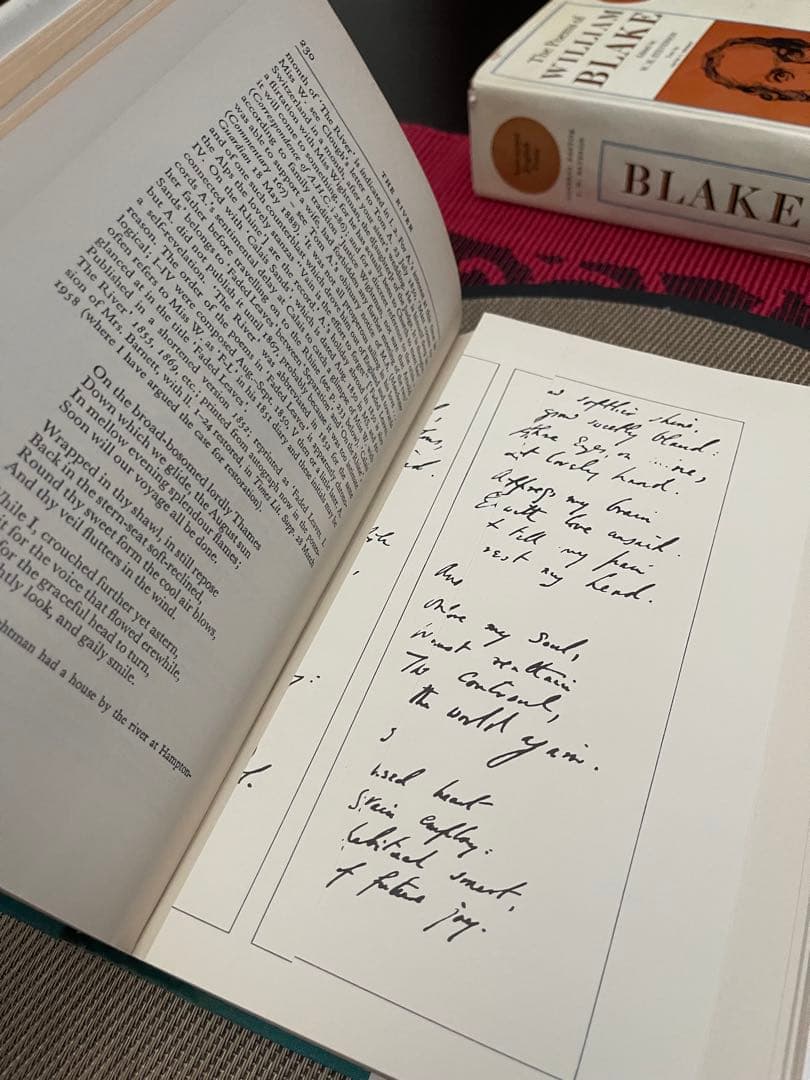 洋書 The Poems of Matthew Arnold ANNOTATED