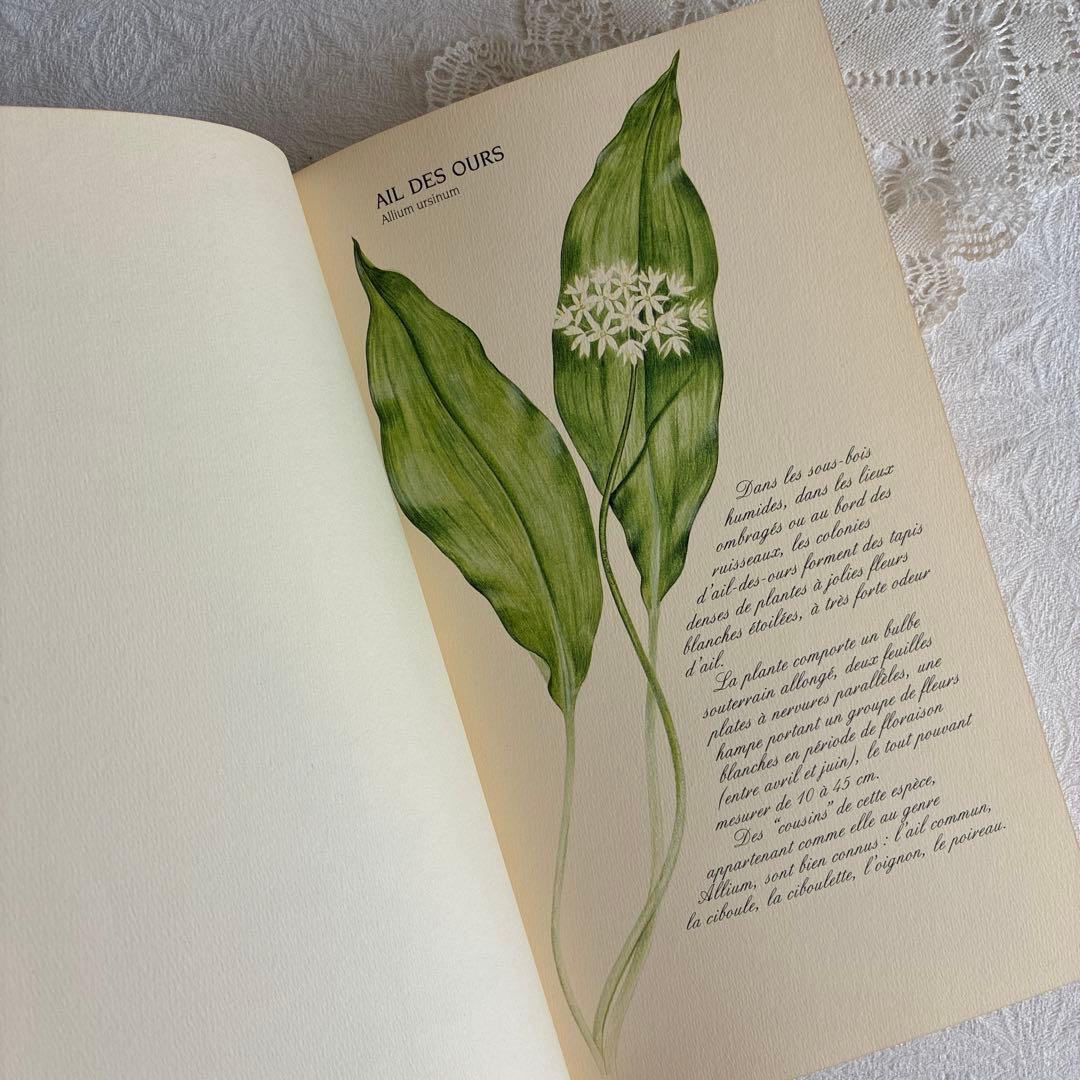 【希少・美品】1990年 美しいフランス植物図鑑　ナタン社　NATHAN