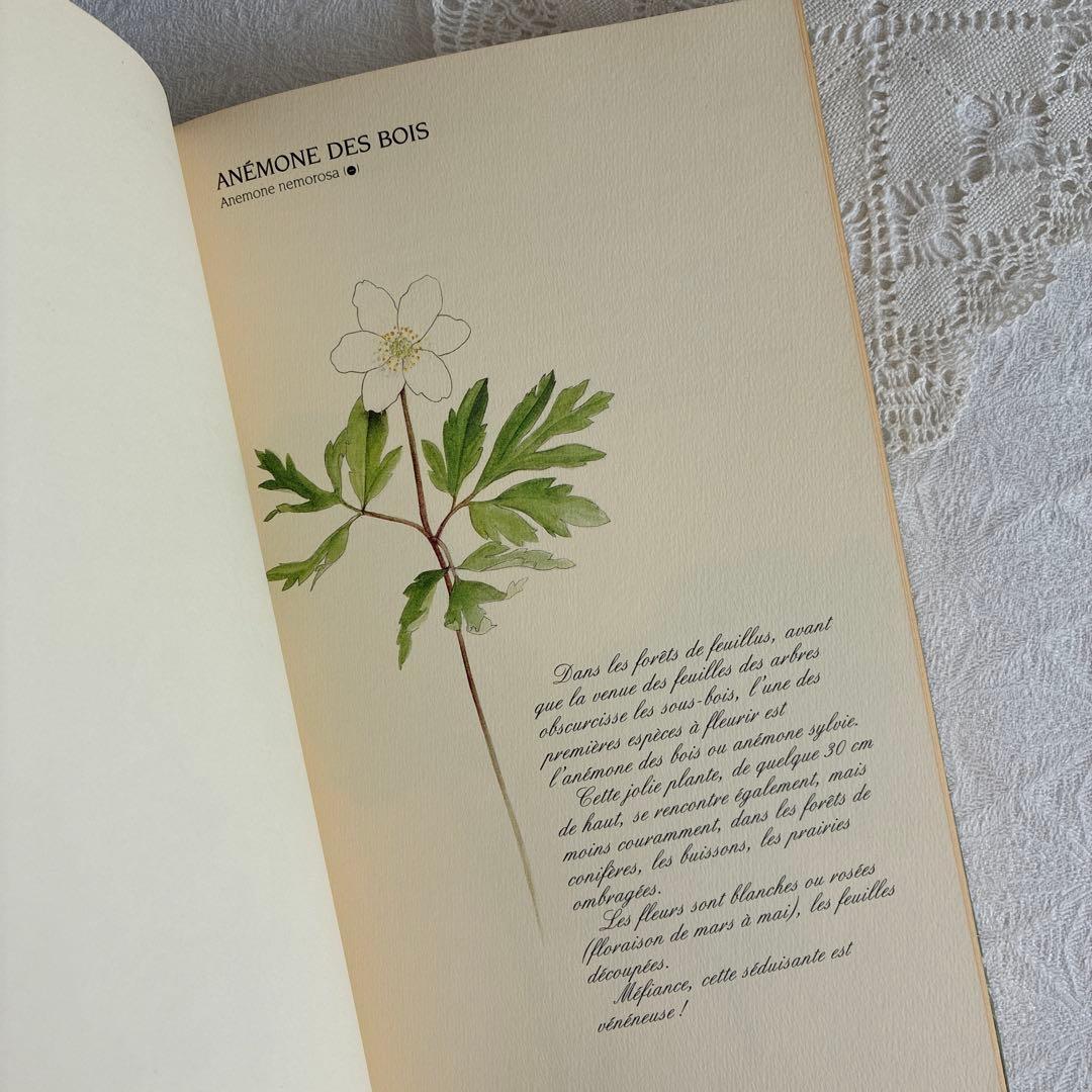 【希少・美品】1990年 美しいフランス植物図鑑　ナタン社　NATHAN