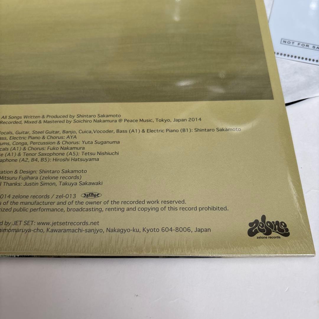 ●レコード 坂本慎太郎 ナマで踊ろう 国内盤 ゆらゆら帝国