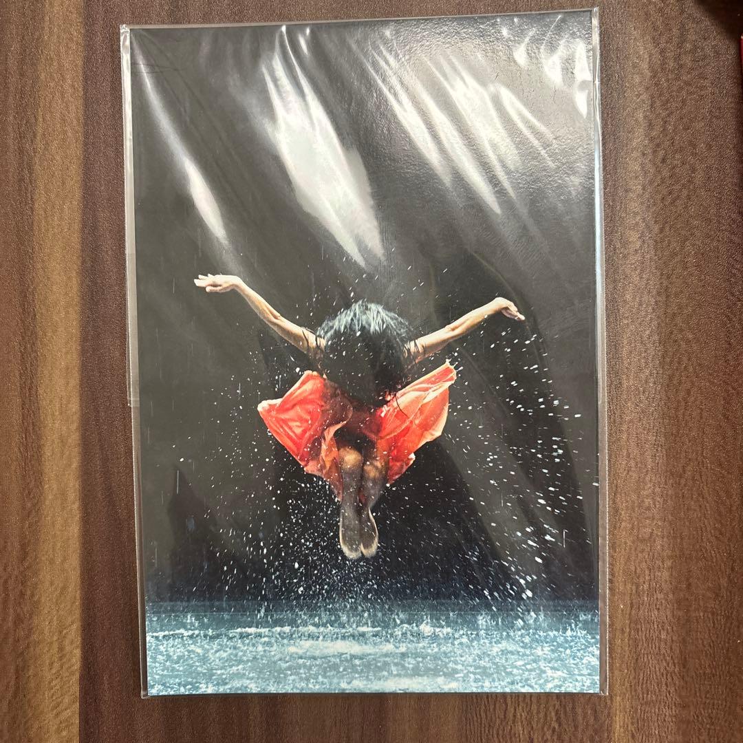 【初回生産限定版】pina ピナ・バウシュ　踊り続ける命