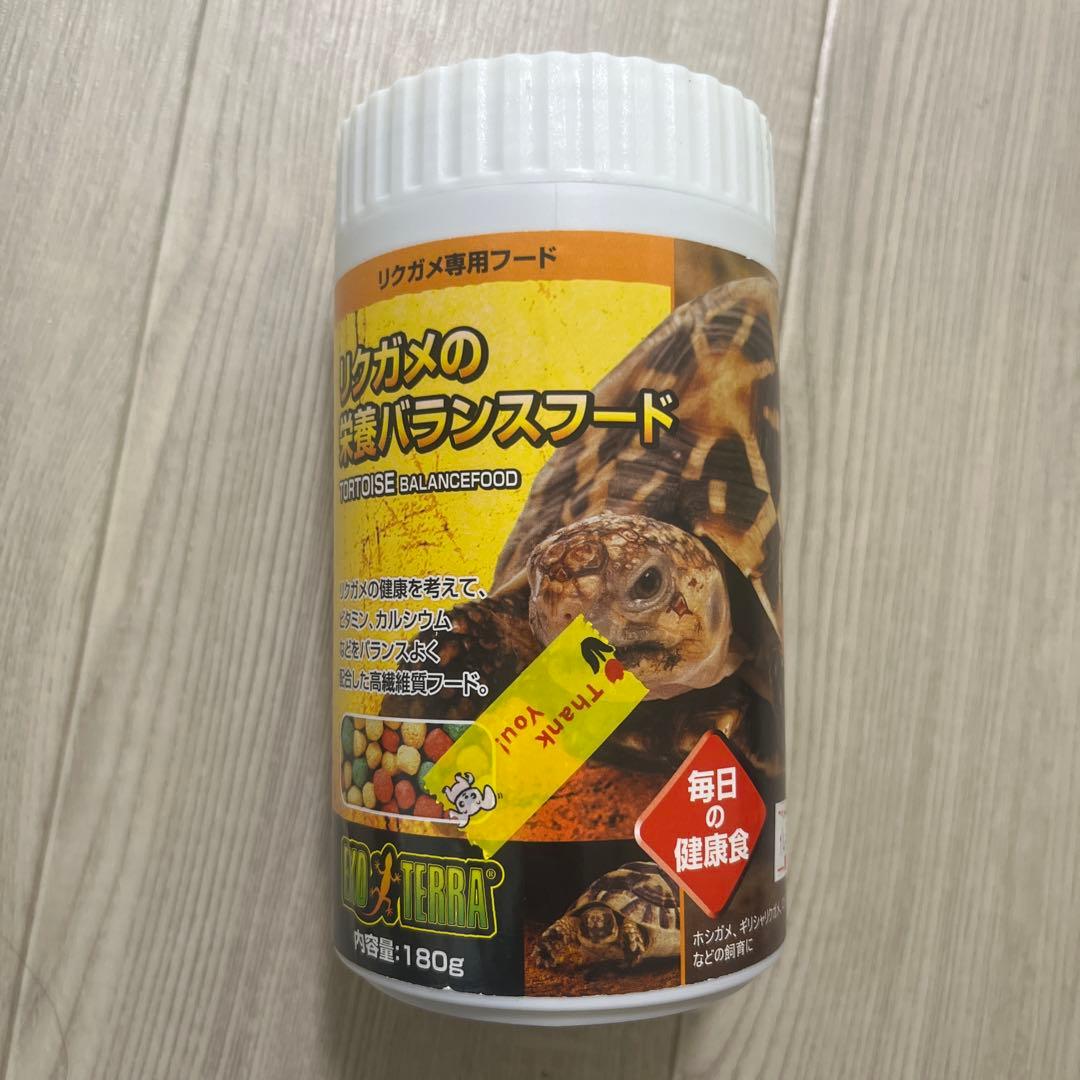 爬虫類　飼育セット　フードおまけ付き
