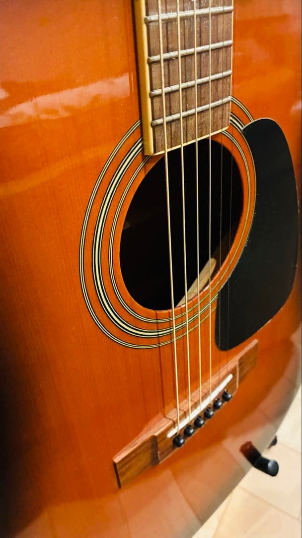 タカミネ takamine T-5/BS アコースティックギター