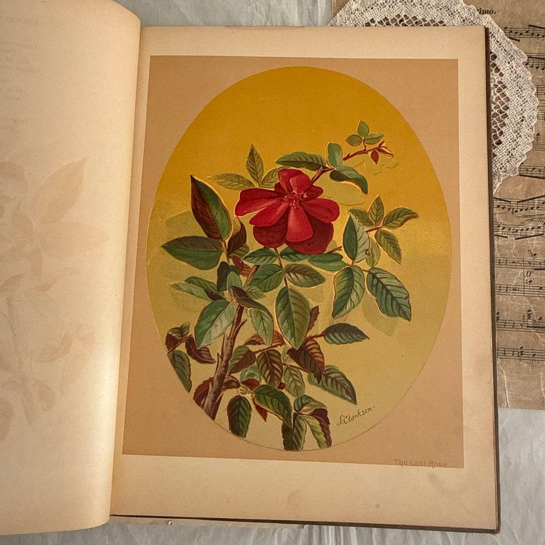 稀少1883年アンティーク美しい画集ヴィクトリアン洋書ジャンクジャーナル　古書
