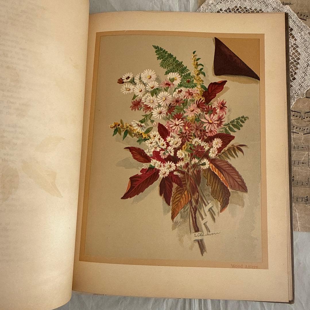 稀少1883年アンティーク美しい画集ヴィクトリアン洋書ジャンクジャーナル　古書