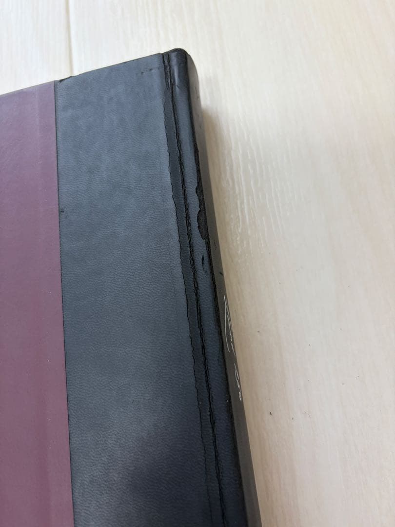 Patti Smith: Land 250 パティ・スミス