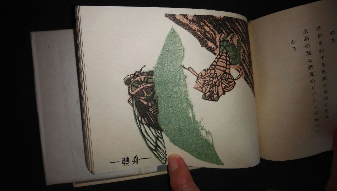 「博物譜」恩地幸四郎編  一木会豆版画帖