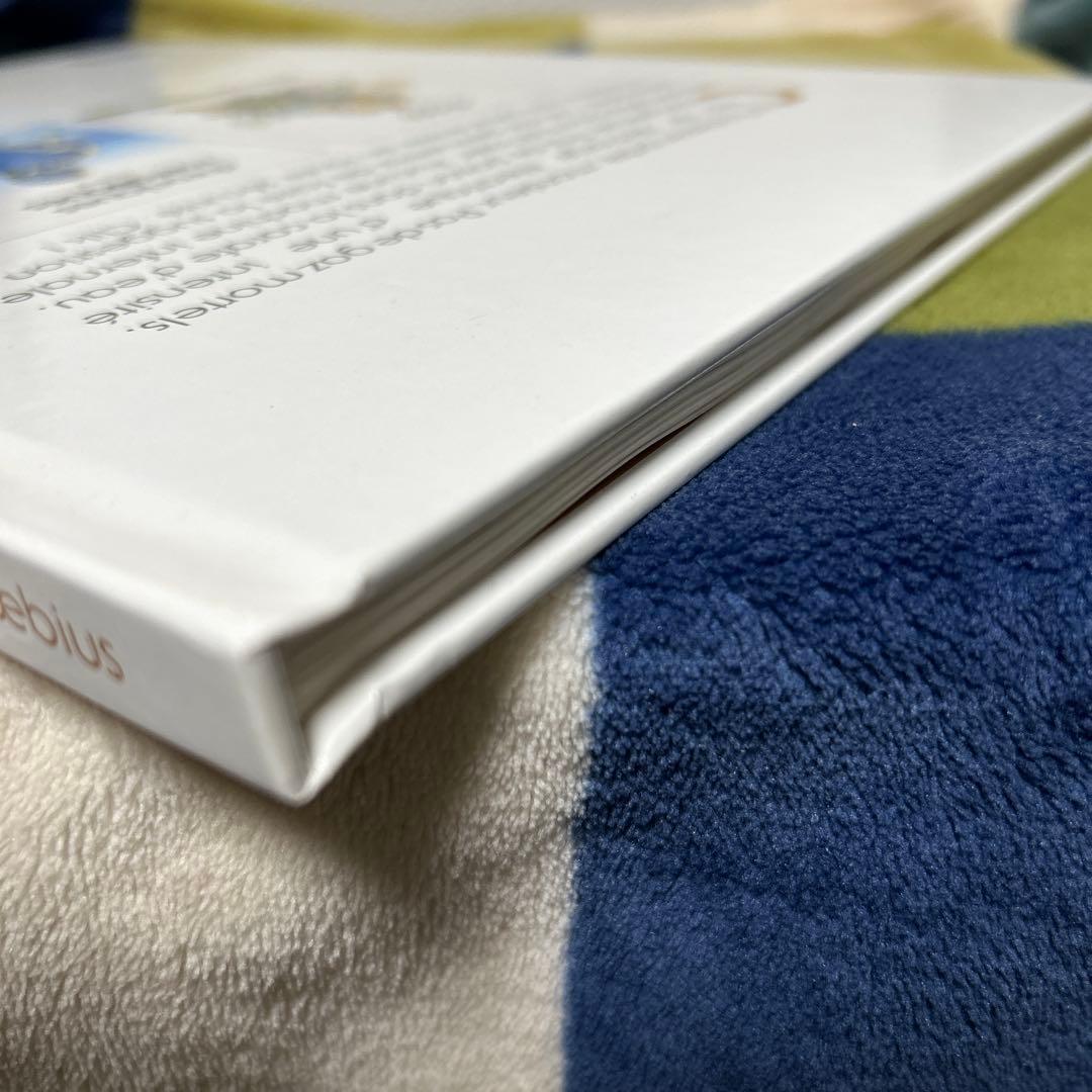 chroniques lliques moebius メビウス　画集